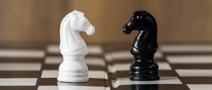 chess horses