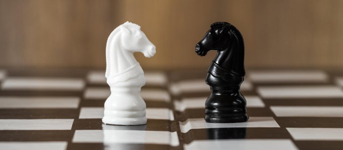 Cavalli scacchi